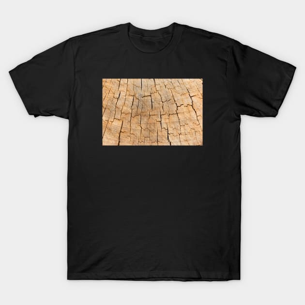 Naturally cracked wood T-Shirt by textural